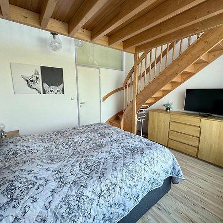 Miky Apartman Klinovec Garden Loučná pod Klínovcem Bagian luar foto